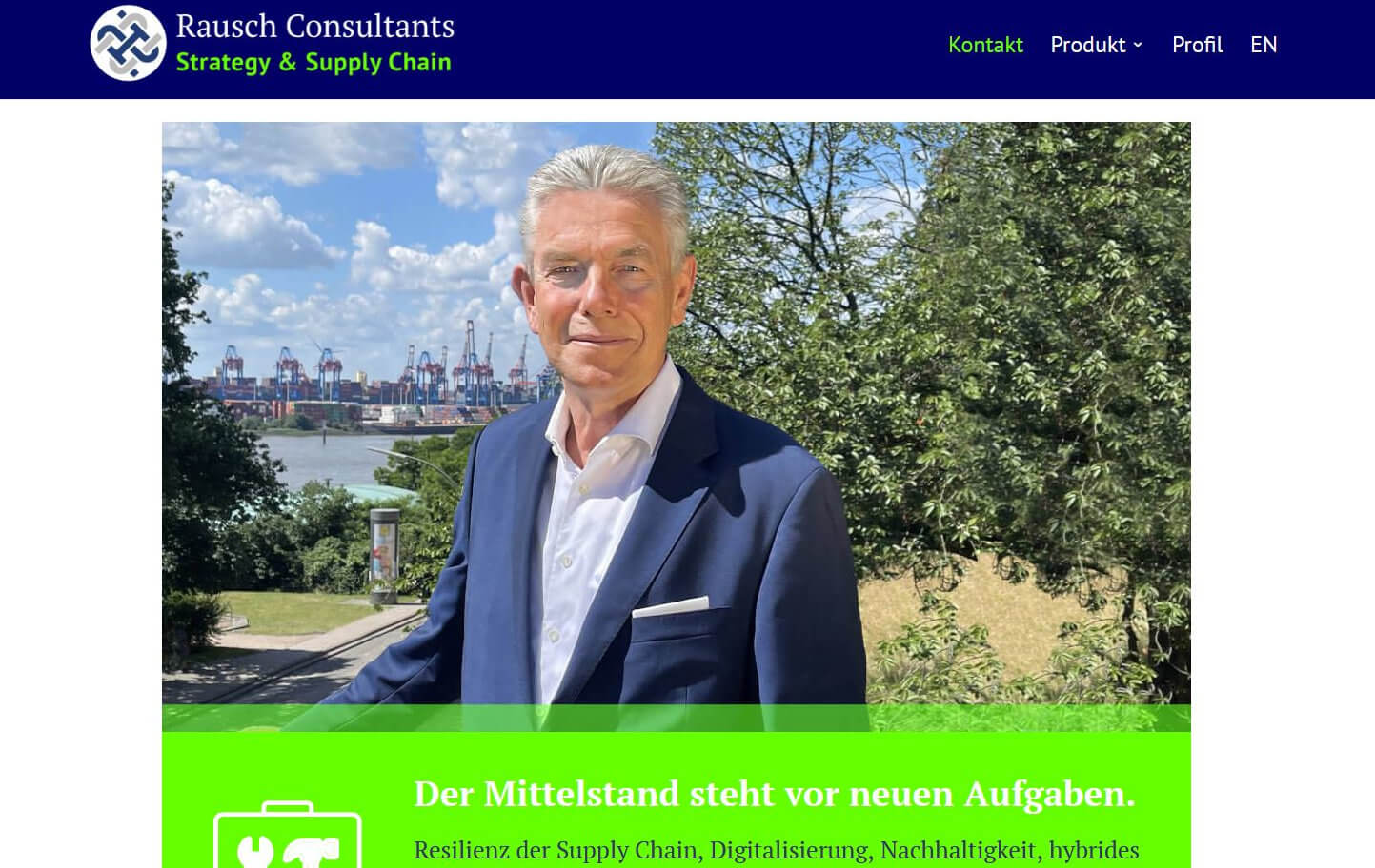 WordPress-Internetseite rausch-consultants.de